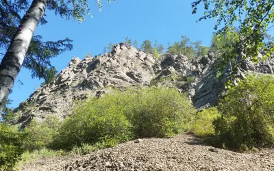 Экскурсия: Гора Аю-Даг (Медведь-гора). Пешеходная экскурсия  (Индивидуальная) | Цены | Маршрут | Май, Июнь, Июль 2023 | Ялтинское  экскурсионное бюро