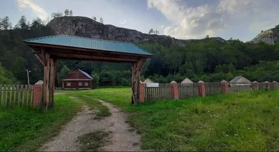 3 Белых полярного медведя. Гора и елевый лес на горизонте.. Звездная ночь  на севере Иллюстрация вектора - иллюстрации насчитывающей шерсть, гора:  195971204