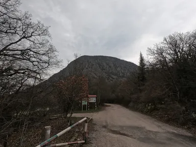 Аю-Даг - Медведь-гора на юге Крыма: легенда, где находится, фото.