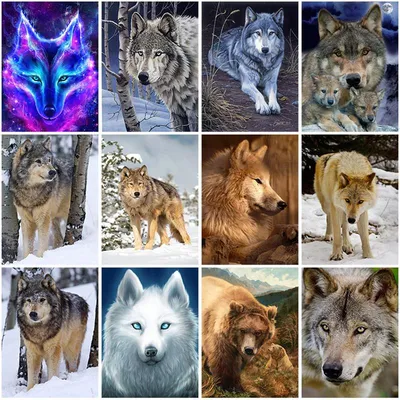 Рисую животных. Красный или горный волк. | Любимое хобби | Дзен