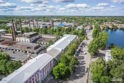 Гусь-Хрустальный поменял ромашку на гуся - новости Владимирской области