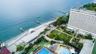 Лучшие отели в Сочи с бассейном, на берегу моря | votpusk.ru | Дзен