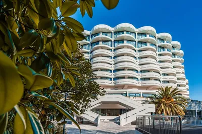 Частные гостиницы в Сочи на берегу моря недорого