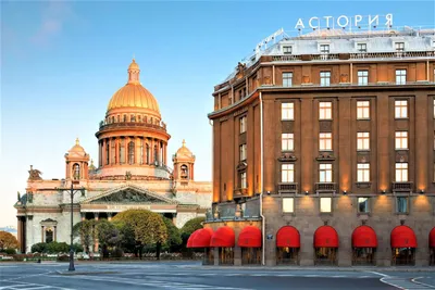 Отель в историческом месте Санкт-Петербурга в СПб | Купить бизнес за 1 150  000 ₽