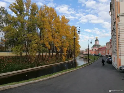 Гостиница москва в питере фотографии