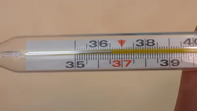 Обзор беспроводного термометра Xiaomi iHealth / Kvazis House / iXBT Live