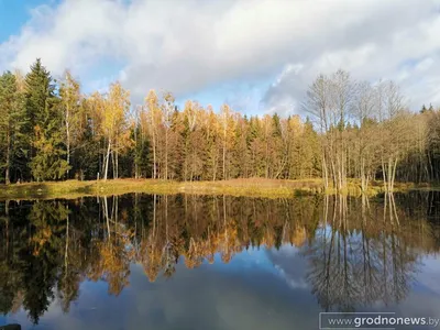 Усадьба Пусловских \"Альбертин\" г.... - По просторам Беларуси | Facebook