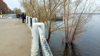 Платная рыбалка на пруду Гранный в Самарской области