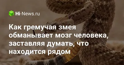 Значок Гремучая Змея Брошь из Металла Гремучник Металлическая Змея купить в  интернет-магазине Ярмарка Мастеров по цене 400 ₽ – OZJAKBY | Значок, Москва  - доставка по России