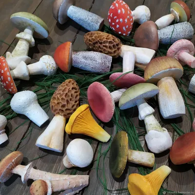 Муляжи грибов. Декоративные искусственные грибы – купить на Ярмарке  Мастеров – OE5QYRU | Муляжи блюд, Нижний Новгород