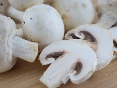 Крупные производители грибов завершили прошлый год с убытками – Агроинвестор