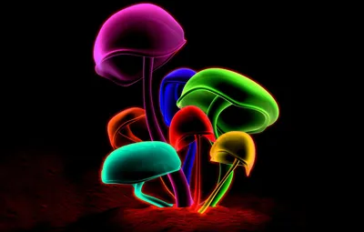 Обои грибы, разноцветные, психоделик картинки на рабочий стол, раздел  абстракции - скачать