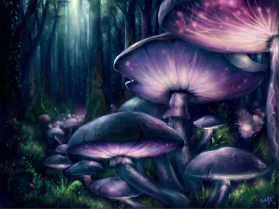 Магические грибы - 56 фото
