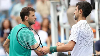 Григор Димитров вышел в четвертьфинал в Антверпене – новости тенниса TENNIS  WEEKEND
