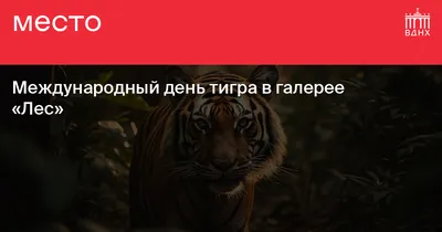 Tiger's eye 🐅 Глаз тигра Идея тигриных полос на глазах не нова, но мне  внезапно захотелось ее осуществить. Даже записала короткое видео с … |  Instagram