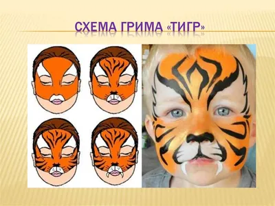 Как нарисовать на лице принт тигра, леопарда, зебры, сделать аквагрим? |  Maquillage tigre blanc, Maquillage de déguisement, Maquillage tigré