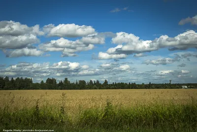 Как рождается гроза