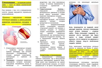 Стенокардия. Первая помощь при приступе стенокардии. Лечение | Здоровый  Гродно