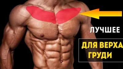 Как быстро накачать грудные мышцы — советы тренеров GW Fitness (ex Gio  Wellness)