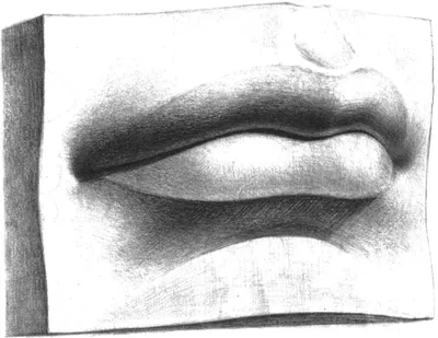 Рисунок деталей головы. Учимся правильно рисовать губы человека карандашом  поэтапно. — Ghenadie Sontu Fine Art