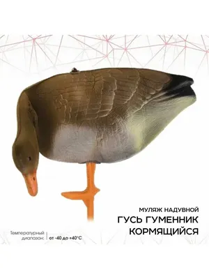 Гуменник гусь Floater Bean Goose – OscarDecoys