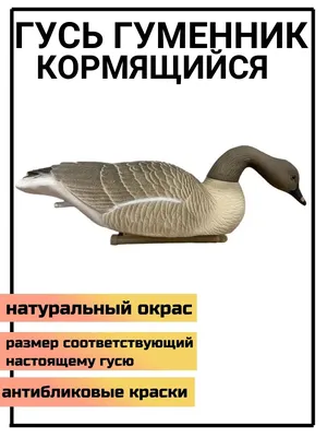 Чучело Birdland гусь гуменник сторожевой 7350-1 купить по цене 2 170 ₽ в  Москве — интернет магазин opticstrade.com