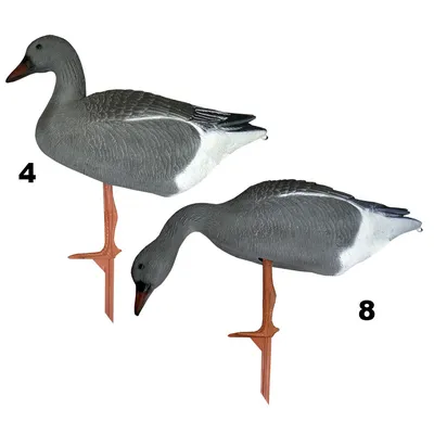 Набор плавающих чучел белолобого гуся OscarDecoys Floater Speckbelly Goose  (6 шт.)