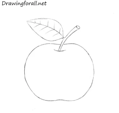Как нарисовать яблоко для начинающих | DRAWINGFORALL.RU