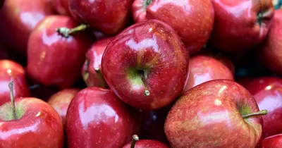 Sohu (Китай): кто яблоко в день съедает, тот у доктора не бывает |  07.10.2022, ИноСМИ