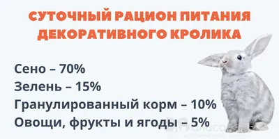 9. Корма и кормление кроликов [1990 Максимов А.П., Зарубенко А.И. -  Приусадебное кролиководство]