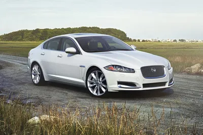 Jaguar XF 2024 - купить Ягуар ХФ в Киеве, Цена на новый от официального  дилера Ягуар Киев Запад