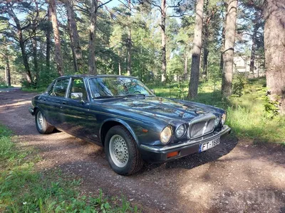 Jaguar Daimler V 8 105000 km TOP einselsitze | другой пассажирский легковой  автомобиль - TrucksNL