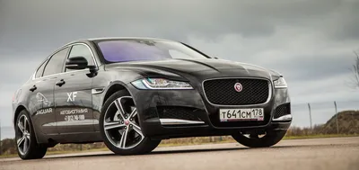 Тест-драйв нового Jaguar XF 2.0d: бизнес-зверь? - Журнал Движок.