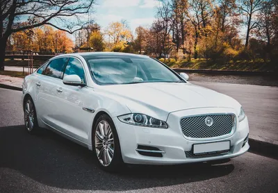 Аренда и заказ белого автомобиля Jaguar XJ (Ягуар XJ) выпуска в  Санкт-Петербурге (СПб)