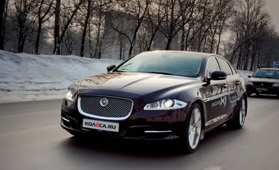 Ягуар XJ - Отзыв владельца автомобиля Jaguar XJ 2011 года ( IV (X351) ):  3.0d AT (275 л.с.) | Авто.ру