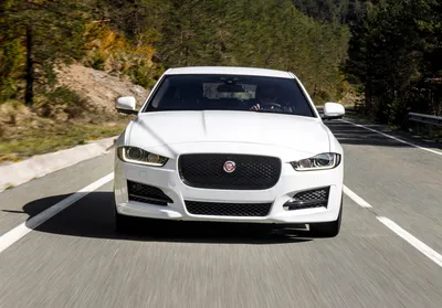 The Goodwood Test: Jaguar XE Reims Edition | GRR