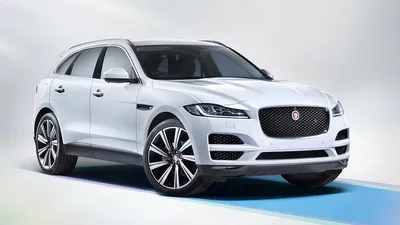 New 2023 Jaguar F-PACE P250 S 4 Door SUV in Naperville #J23045 | Jaguar  Naperville