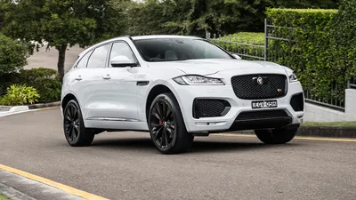 New 2024 JAGUAR F-PACE P250 R-DYNAMIC S 4 Door SUV in Sarasota #A728973 |  Jaguar Sarasota