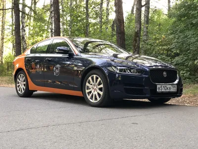 Логотип Автомобиля Jaguar XF XE XJL, логотип переднего логотипа с  леопардовым принтом, модификация оригинального логотипа капота автомобиля,  логотип капота | AliExpress