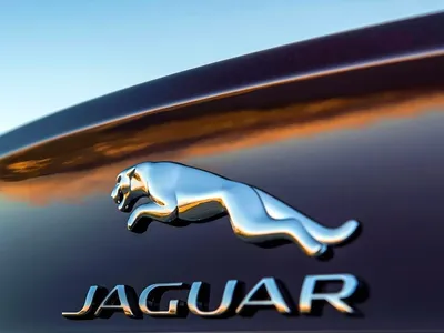 Фотографии Jaguar Логотип эмблема машины Крупным планом 2560x1703