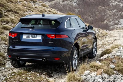 Jaguar обновил спортивную версию кроссовера F-Pace :: Autonews