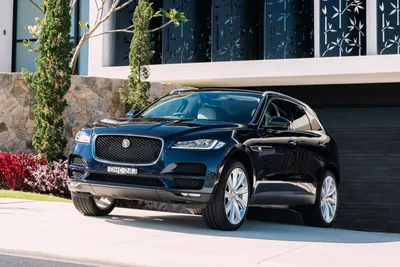 Отличный премиальный паркетник - Отзыв владельца автомобиля Jaguar F-Pace  2019 года ( I ): 2.0 AT (249 л.с.) 4WD | Авто.ру