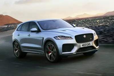 Крупный зверь — 2019 Jaguar F-Pace SVR | Пикабу