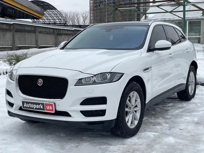 Не очень: отзыв о Jaguar F-PACE среднеразмерный кроссовер 2024 - все плюсы  и минусы