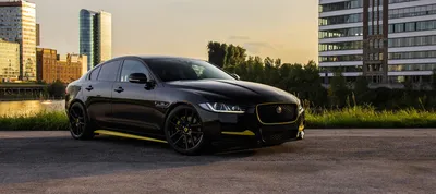 2020 Jaguar XE Rating - The Car Guide