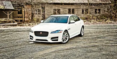 New 2024 Jaguar XF R-Dynamic SE 4D Sedan in North Miami #JRCY93902 | Warren  Henry Auto Group