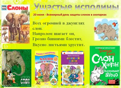 Путешествие Филимона: Слон из Московского зоопарка переехал в Казанский  зооботсад - Москва.Центр