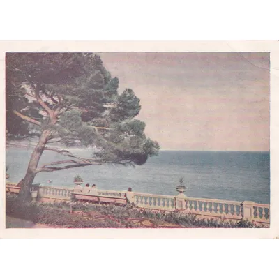 Открытка Ялта. Вид на море. Цветное фото И. Б. Голанд. 1954 г. Чистая купить
