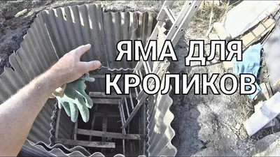 Конструкция ямы для кроликов. - YouTube