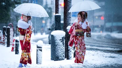 Почему японцы не мерзнут зимой в квартирах без центрального отопления /  Оффтопик / iXBT Live